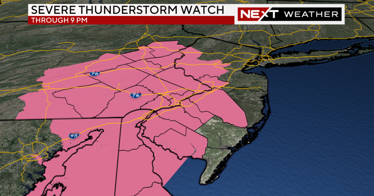 NEXT Weather Alert Day for strong to severe storms