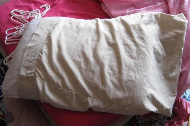 Alisa's pillow 
