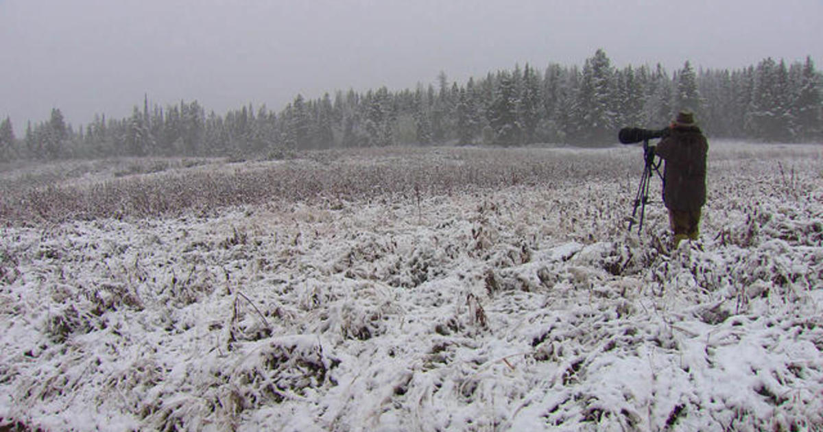 Earth Day: Photographer Capturing The Beauty And Fragility Of Nature ...