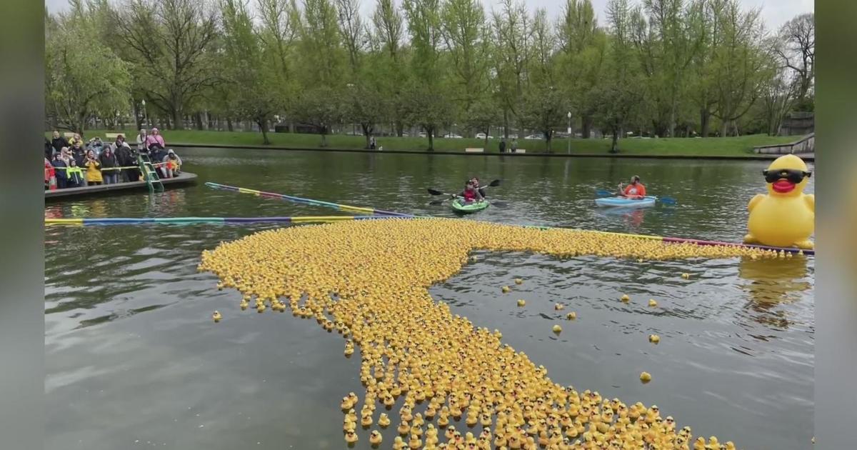 Thousands of ducks released into Lake Elizabeth as part of Steel City