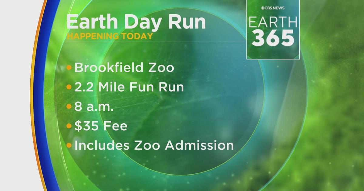 Brookfield Zoo hosting 2.2 mile Earth Day fun run CBS Chicago