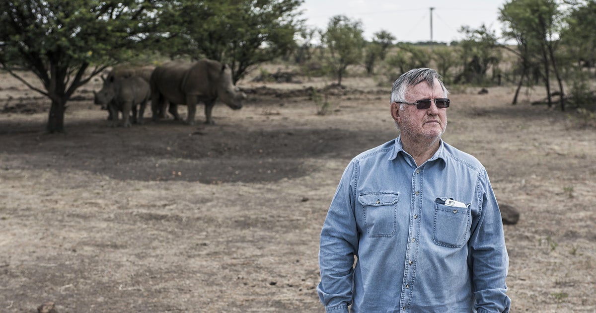 Former billionaire auctions world’s largest rhino farm after spending his fortune saving animals