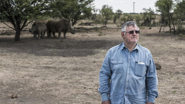 Private Rhino Farm In South Africa 