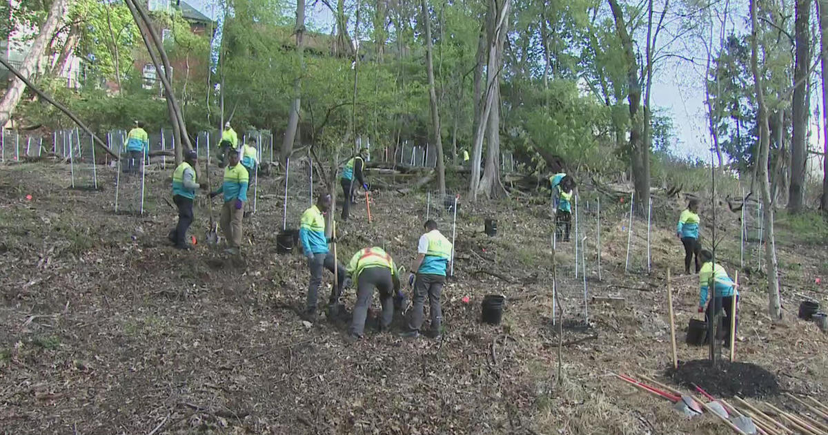 Volunteers gather to plant trees in Riverview Park