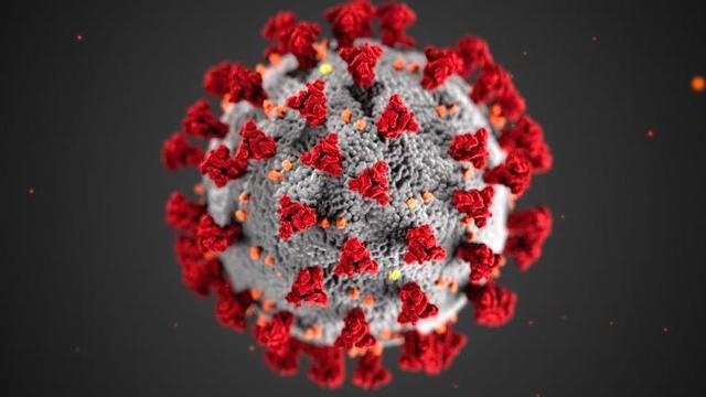 Virus Outbreak New Variant 