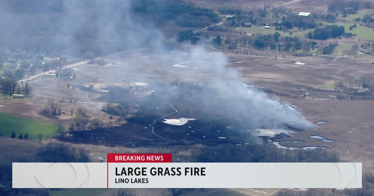 Elegant Lino Lakes Grass Fire Photos