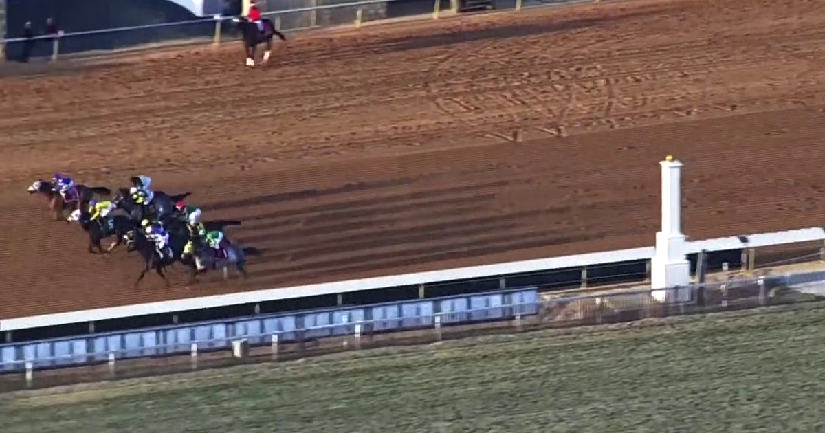 Laurel Race Track suspends horse racing indefinitely following