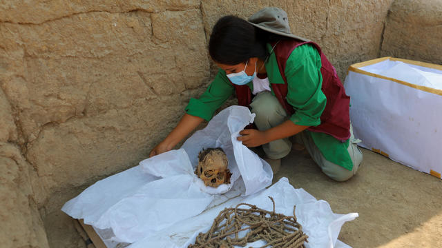 Peruvian archaeologists discover pre-Inca mummy in the ruins of Cajamarquilla in Lima 