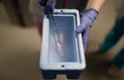 Ukraine Soldiers Freeze Sperm 