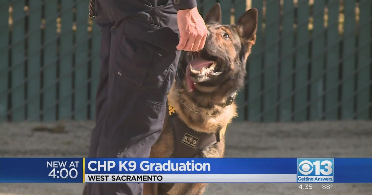 California Highway Patrol celebrates graduation of 9 new canine teams