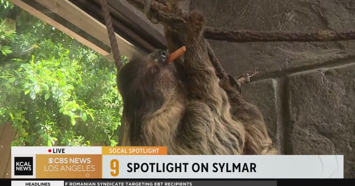SoCal Spotlight: Sylmar Wildlife Learning Center - CBS Los Angeles