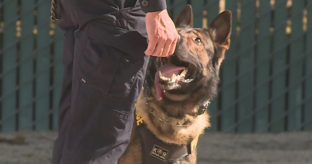 California Highway Patrol celebrates graduation of 9 new canine teams