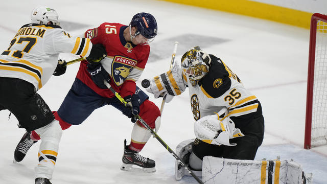 Bruins Panthers Hockey 