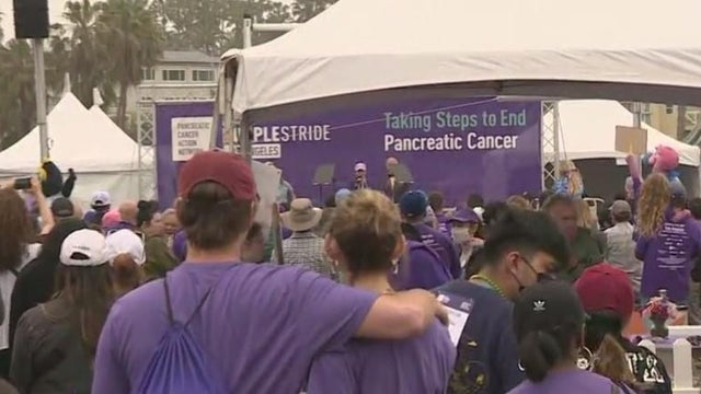 purplestride.jpg 