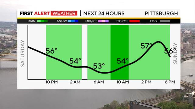 next-24-hours-temp-line-weather-bars-camera.png 