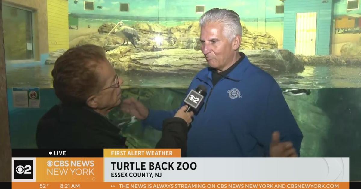 Essex County Exec. Joseph DiVincenzo at Turtle Back Zoo CBS New York