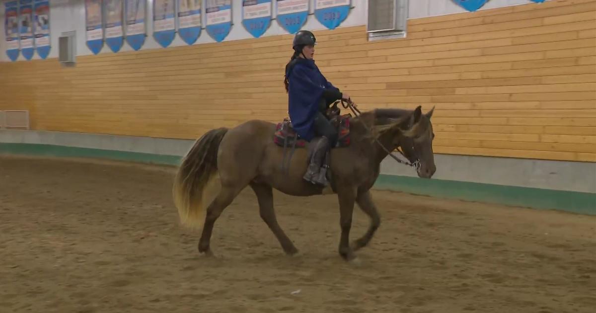 Minnesota Horse Expo helps people "look at horses differently" CBS