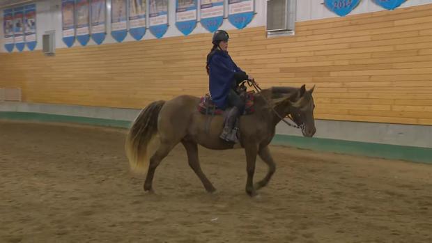 minnesota-horses-expo.jpg 