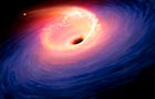 Black Hole Shredding a Star 