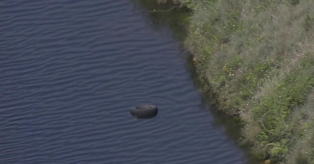 Investigation underway after body found in SW Miami-Dade canal - CBS Miami