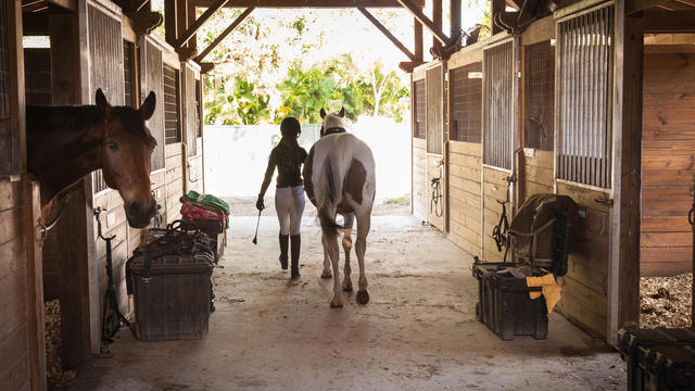 Teenage girl walking out horse from a stable 
