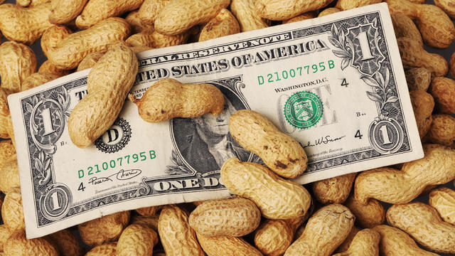 Dollar bill on top of a bed of peanuts 