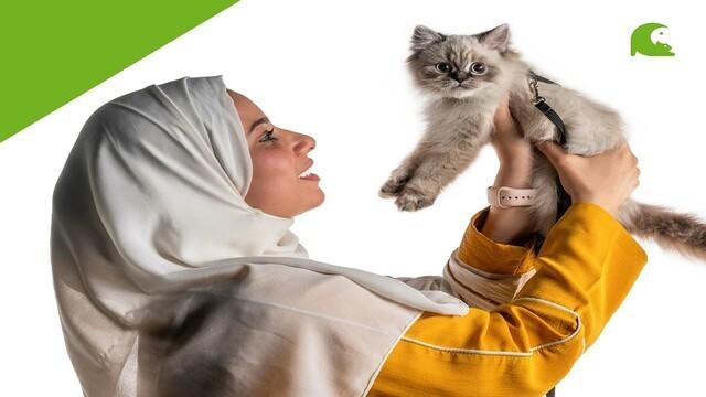 approved-thumbnail-petproductstrading-1937940-640x360.jpg 