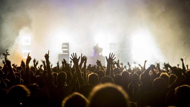 Fans with raised arms at music Festival 