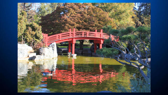 SJ Japanese Friendship Garden 