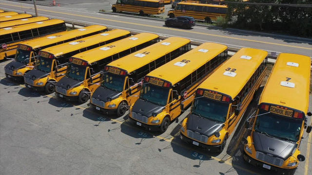 School buses 