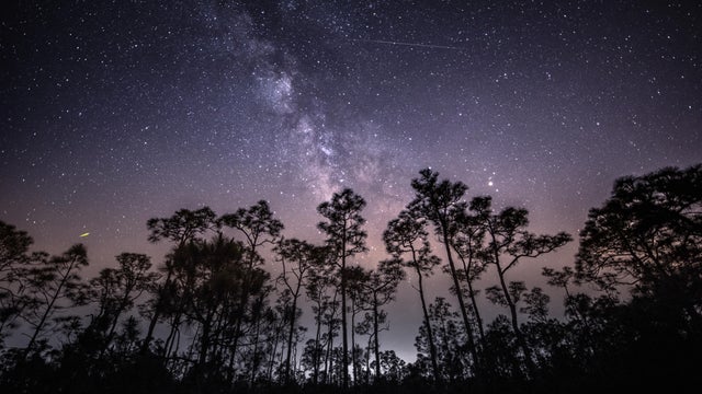 Eta Aquarid Meteor Shower, Babcock Wildlife Refuge, Florida 