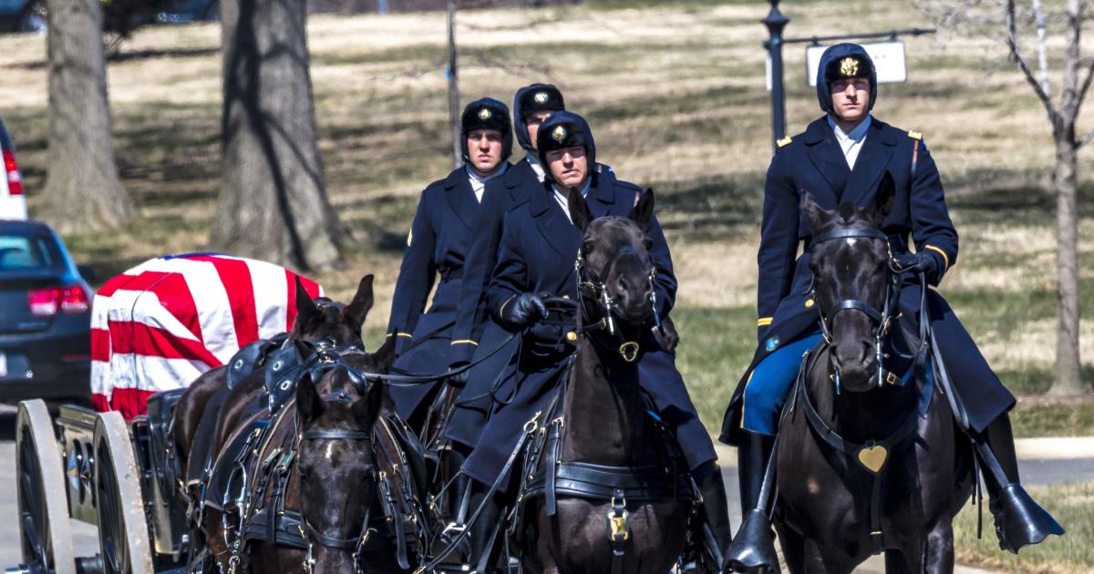 D.C.’s Arlington Cemetery pauses use of horses because of to wellness worries