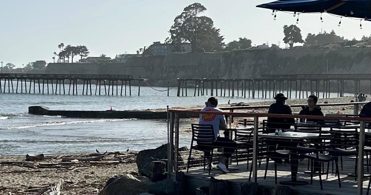 does capitola beach allow dogs