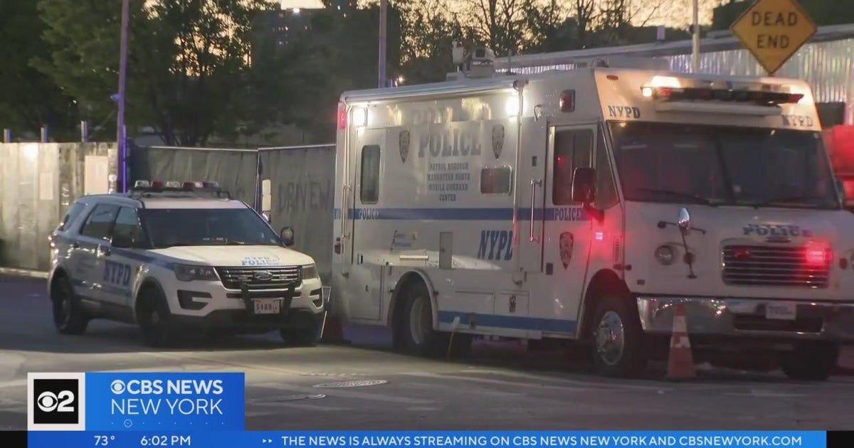 NYPD lieutenant hit in head in alleged hit-and-run - CBS New York