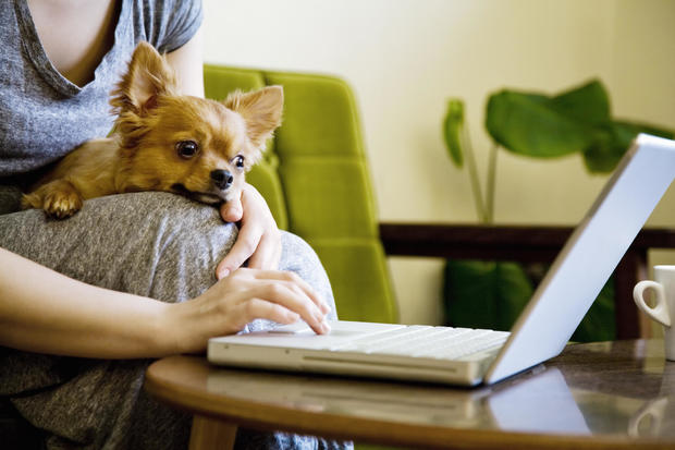 You should-get-comprehensive-pet-insurance.jpg 