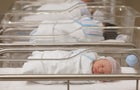 Newborn babies sleeping in hospital nursery 