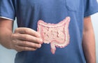 Microbiome intestine factories and microbiota. Gut health 3d render. Microvilli with factories in intestine 