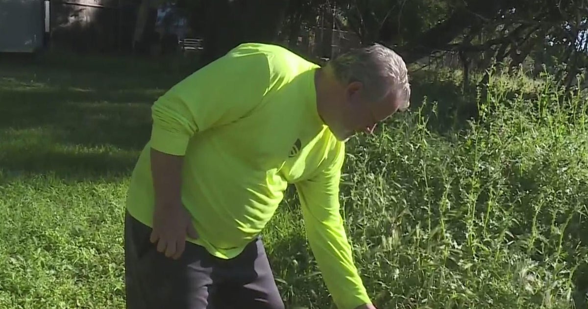County program allows American River Parkway homeowners to mow up to 50 feet