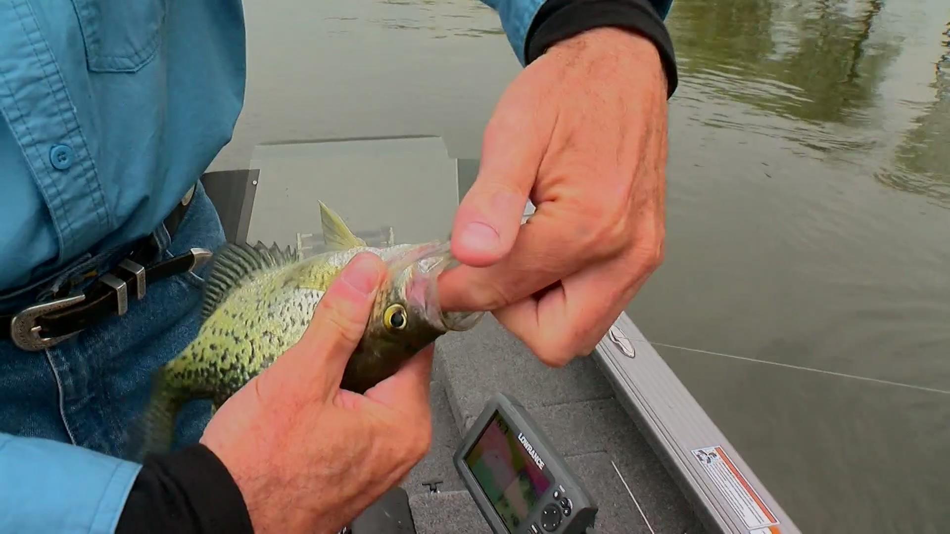 WCCO  CBS News Minnesota on X: FISHING OPENER WEEKEND 🐟 Ron