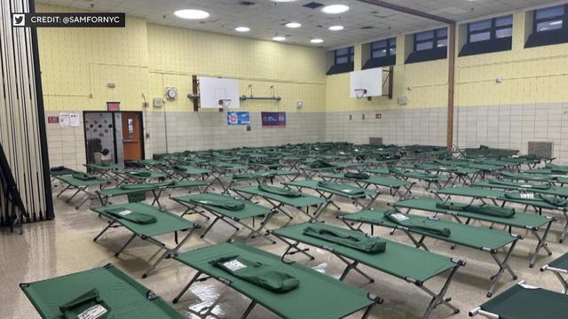 Dozens of cots lined up in rows inside a school gymnasium. 