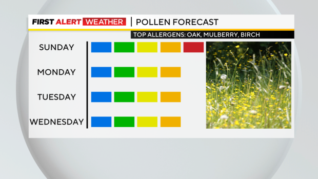 pollen-allergies.png 