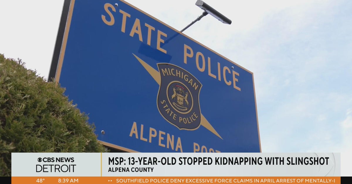 Teen boy uses slingshot to save 8yearold sister from alleged