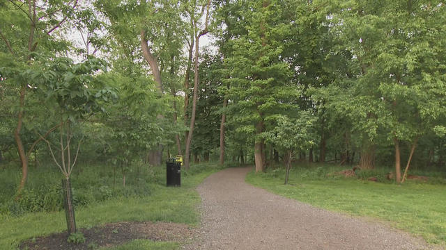 kdka-pittsburgh-police-frick-park-assault.jpg 