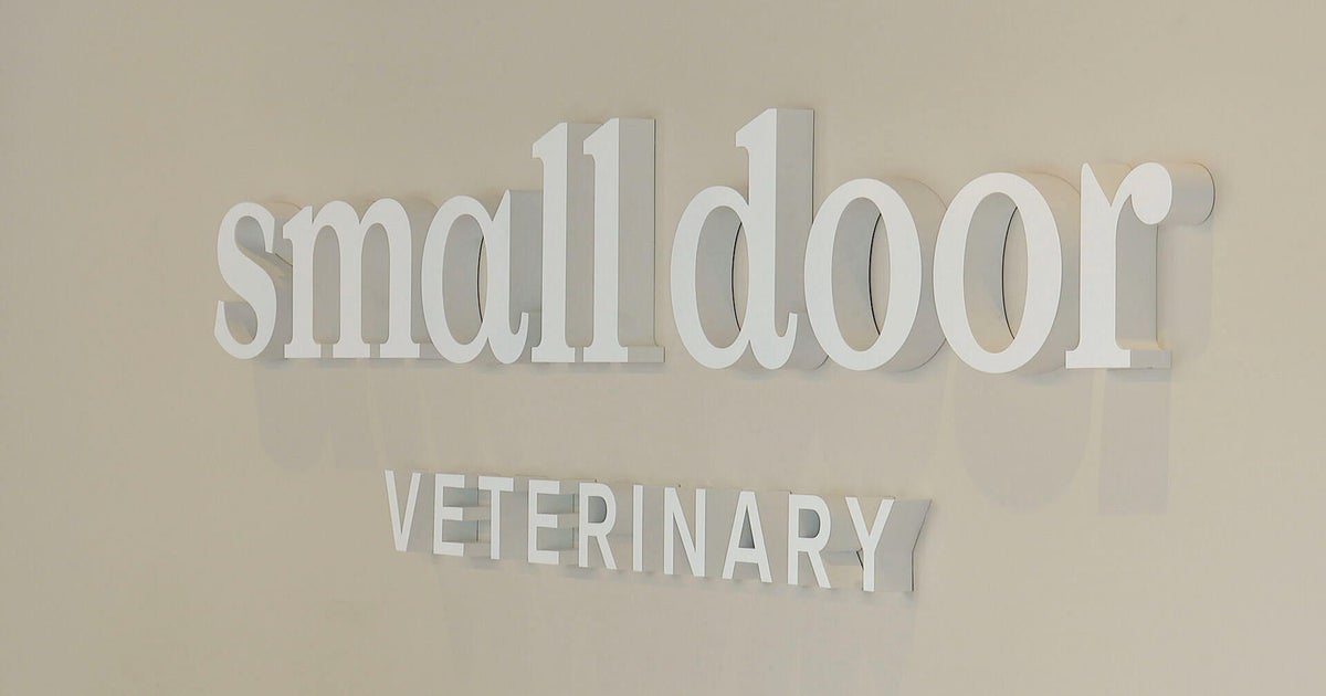 New veterinarian in Brookline hopes memberships make pet care easier