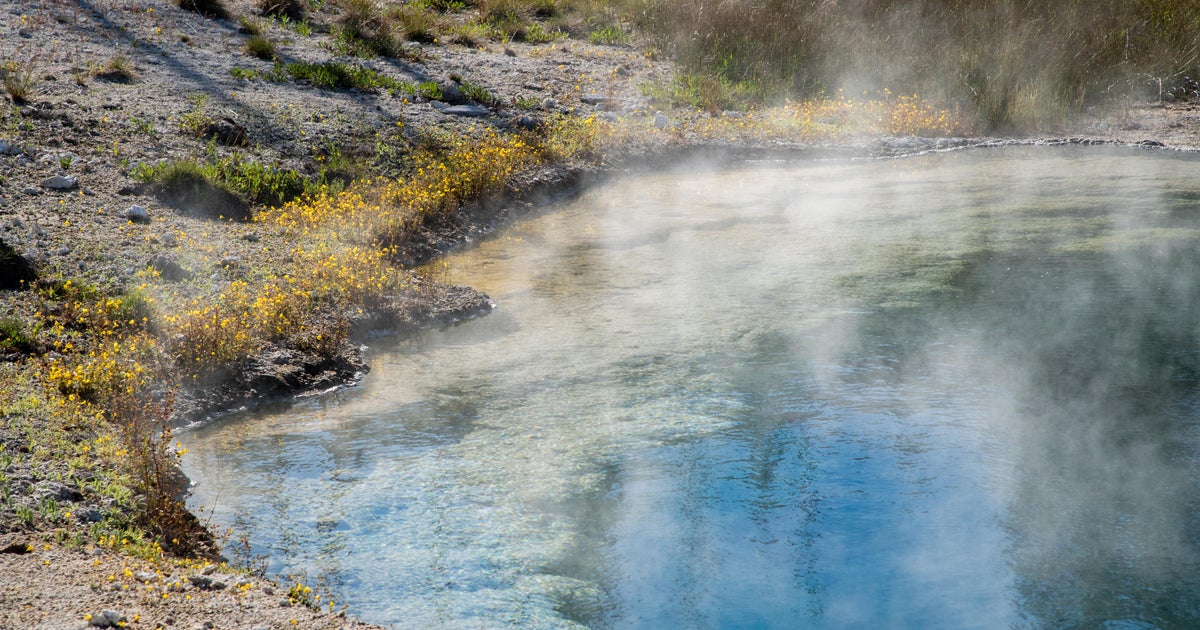 Rangers find dead woman in a car at Yellowstone National Park; man arrested