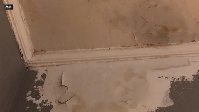 Peeling paint containing lead on the ceiling and wall of an apartment. 