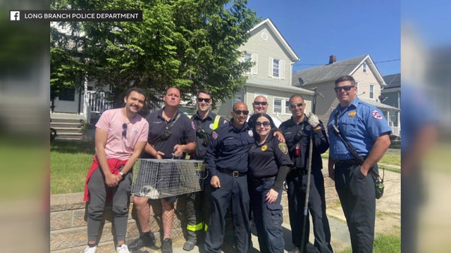A man poses for a photo with firefighters and animal control officers holding a kitten in a cage. 
