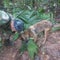 Amazon jungle crash survivors recovering as soldiers search for rescue dog