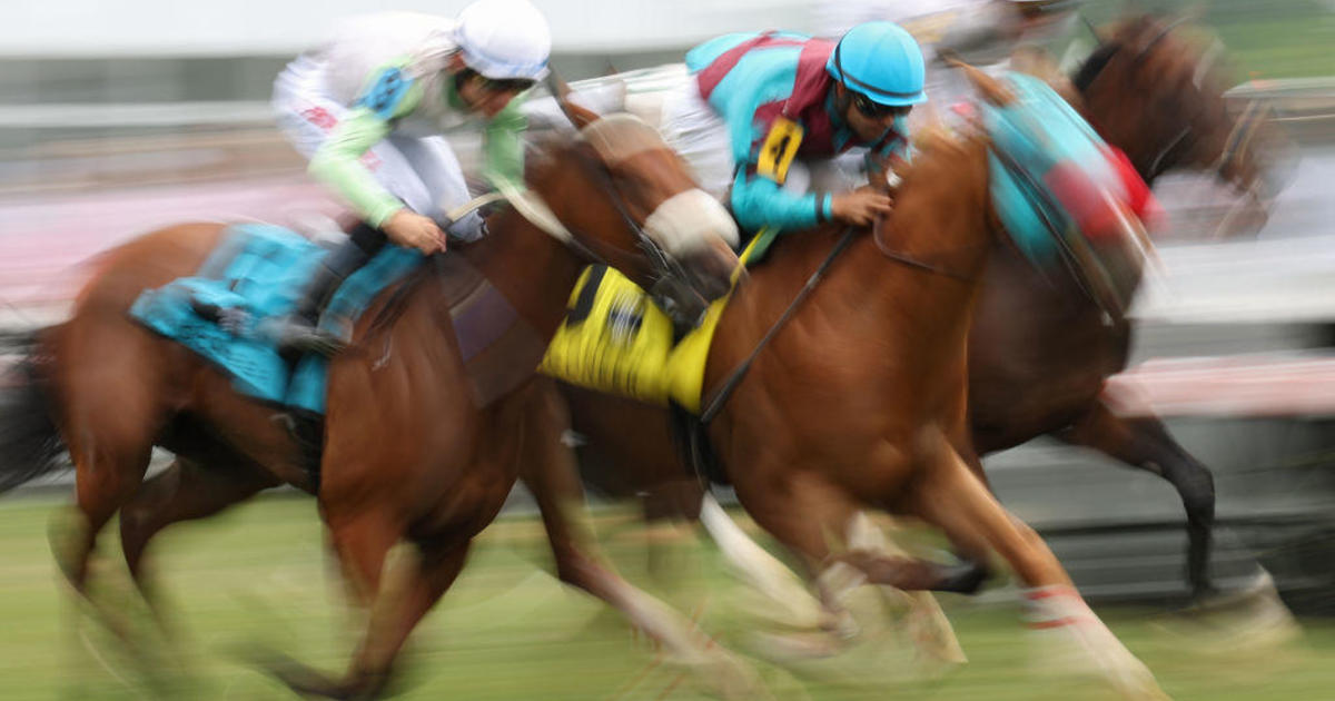 Horse racing under scrutiny after Preakness tragedy CBS Baltimore