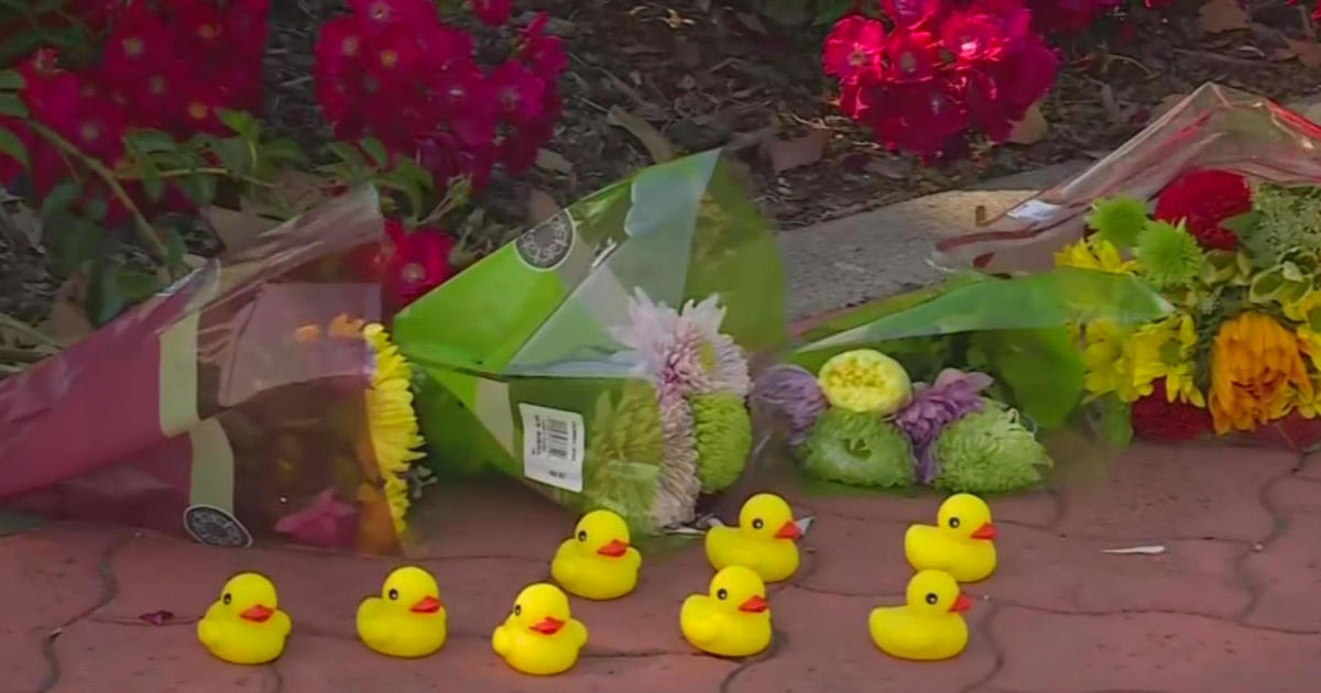 Man fatally struck by car while helping family of ducks cross the street in California, witnesses say